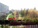 Vue sur le parc